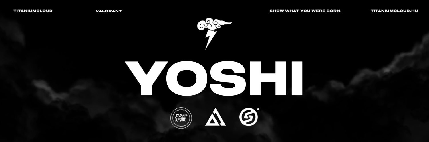 yoshi banner