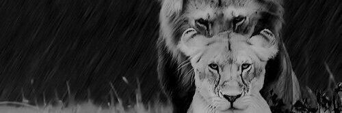 قَلَم🖋️ banner
