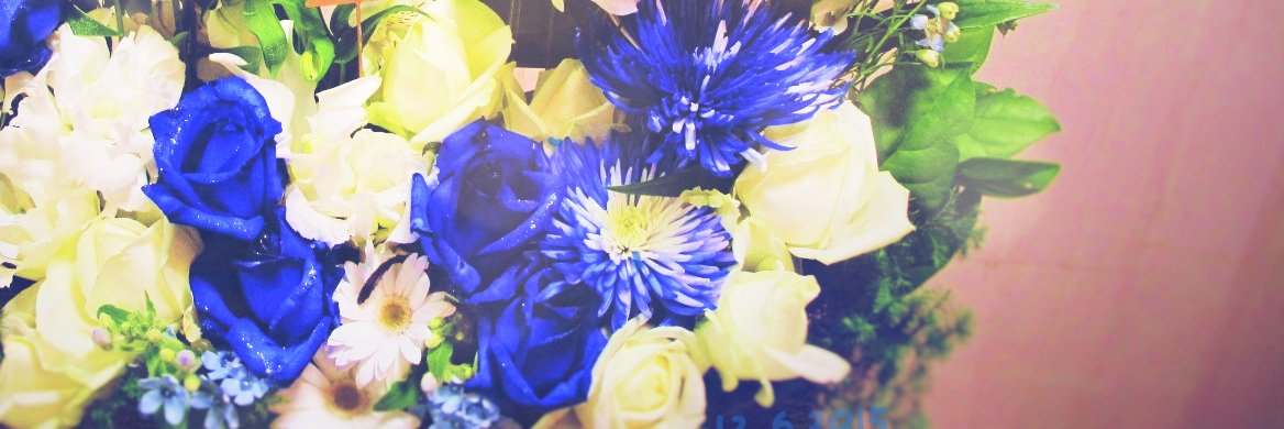 ハ ル banner