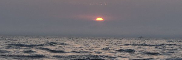 v1n31l Profile Banner