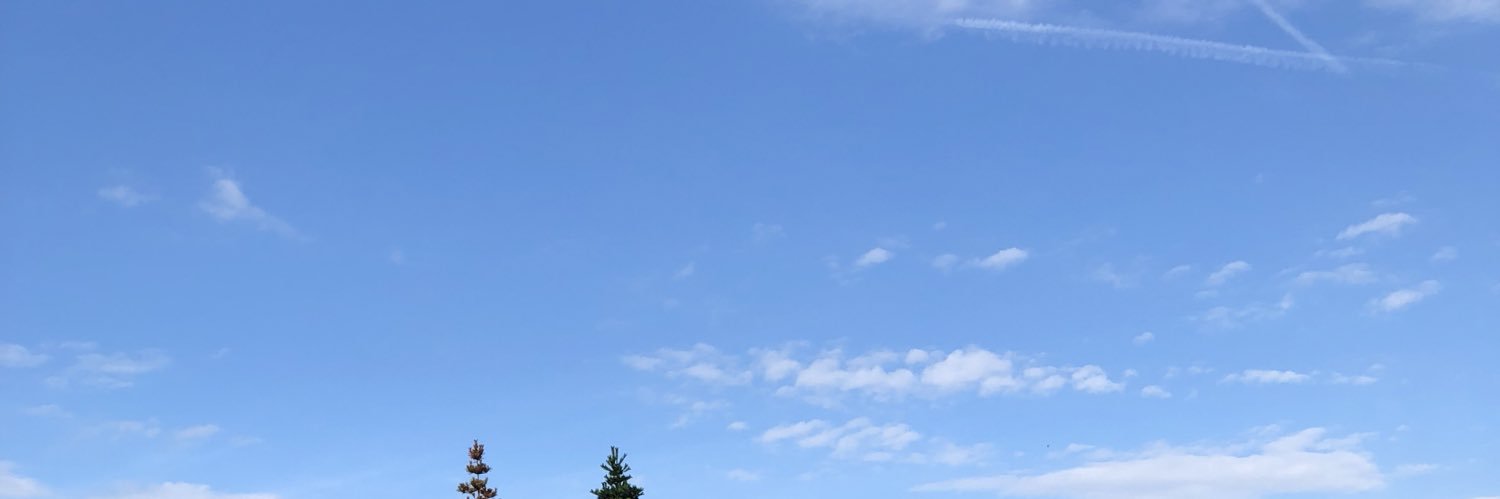 tanikko3's profile banner image