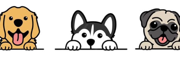 vickytianz's profile banner image