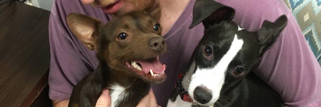 macitmorris's profile banner image