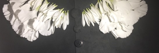PetinaVOX's banner