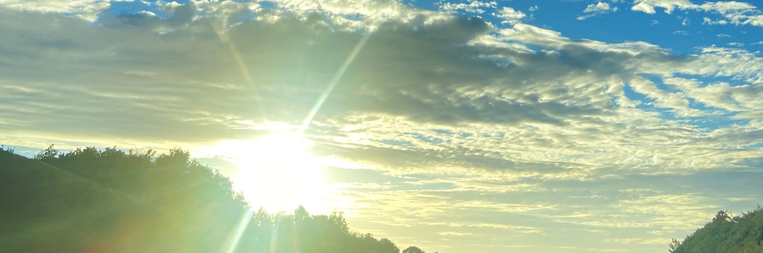 LaurineGerault's profile banner image