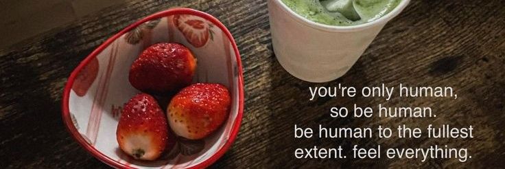 🎸 ꩜ .ᐟ banner