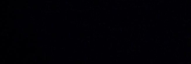 march's banner