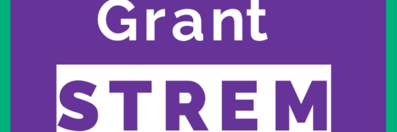 Grant Strem PPC Candidate banner