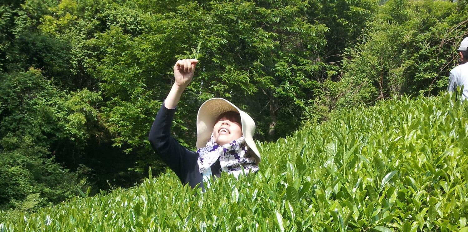 ポチ🐶茜チーフ banner