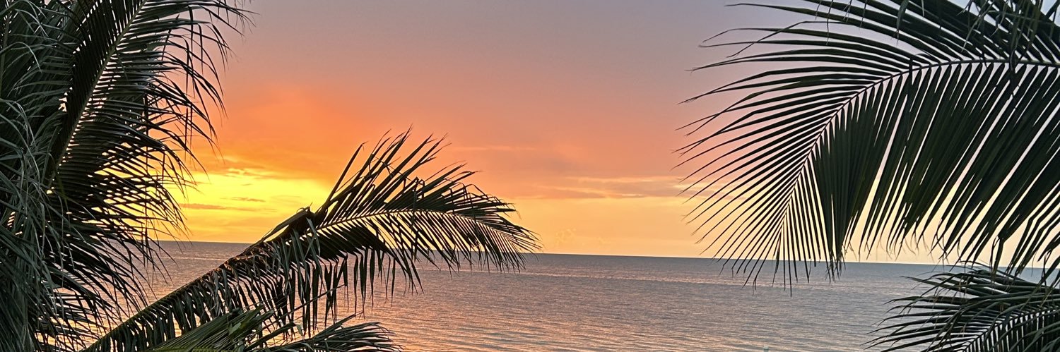 karowaller7's profile banner image