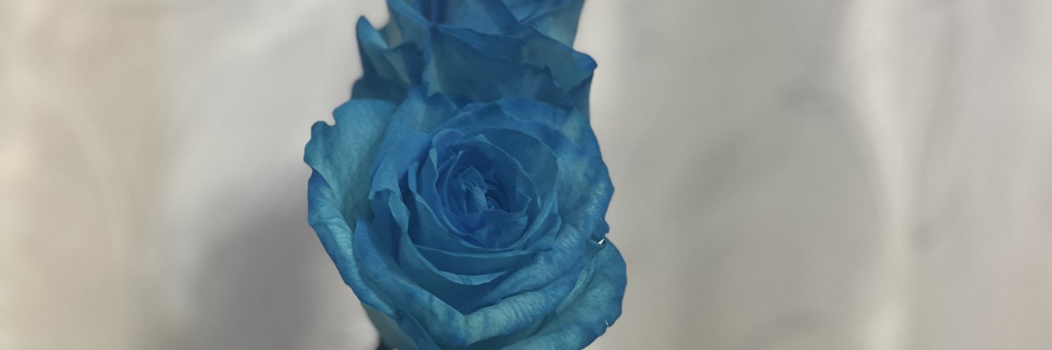 oto_cv's profile banner image