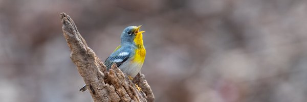 hubbnyc Profile Banner