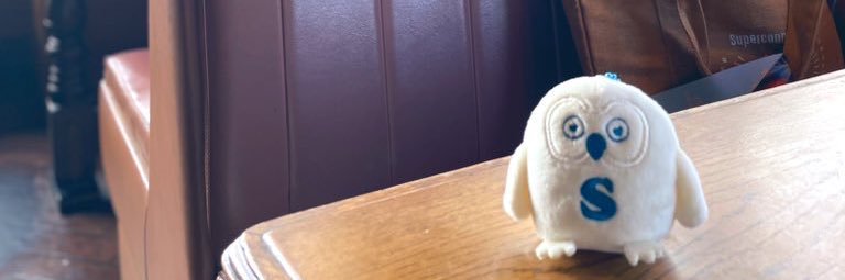 🦉RIEL🥦りえる banner
