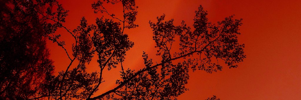 CrateRecs's profile banner image