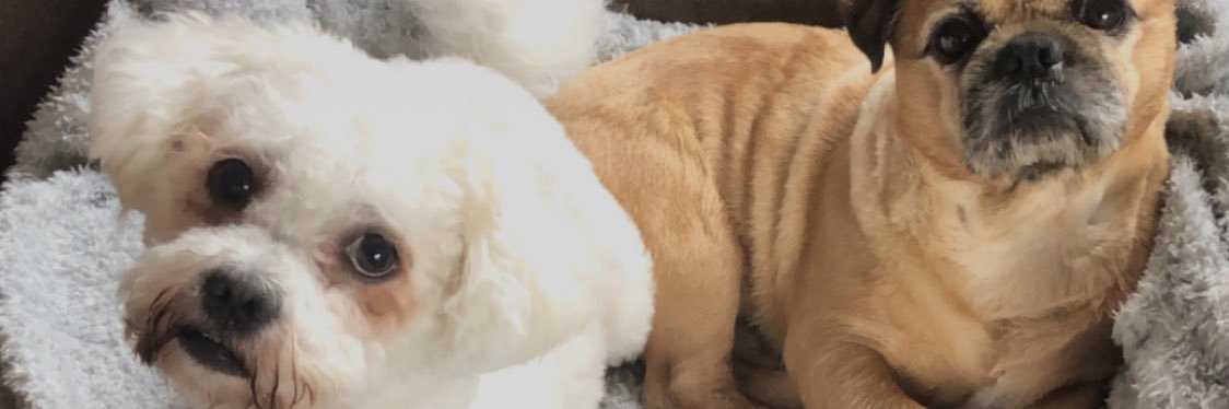 Gunner Bhoy Conor banner