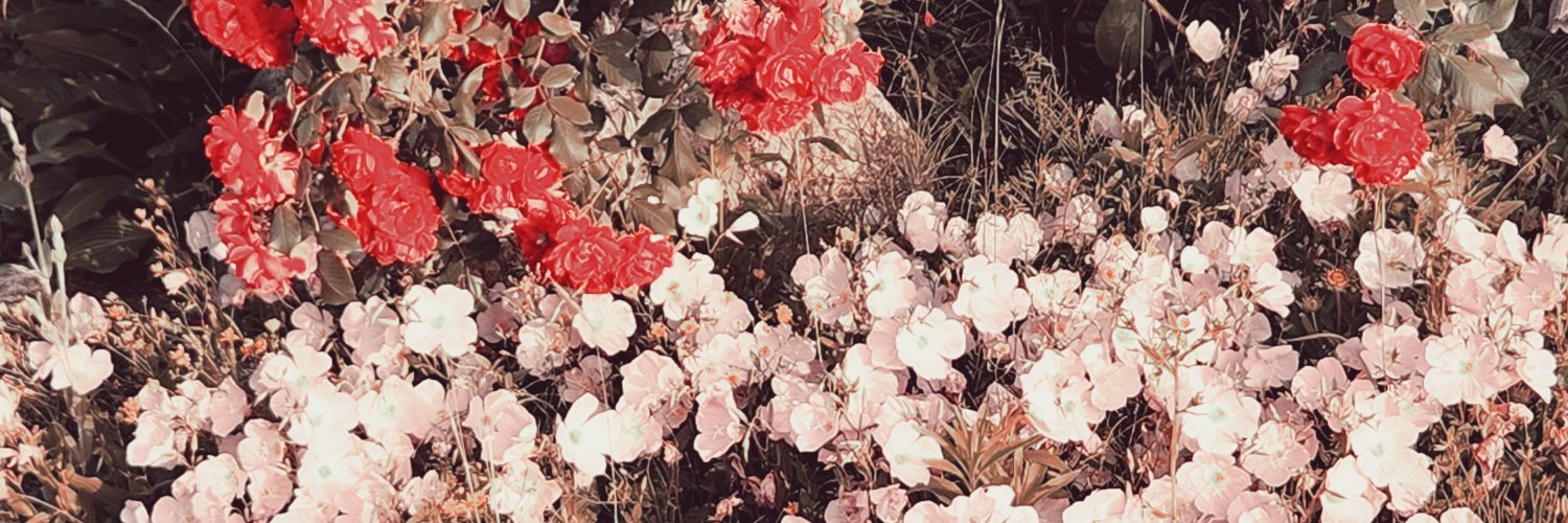 Color of Night🌌 banner