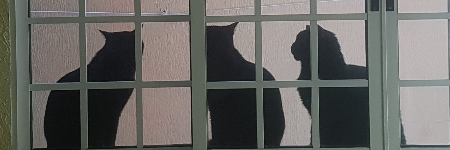 joaoalquimico's profile banner image