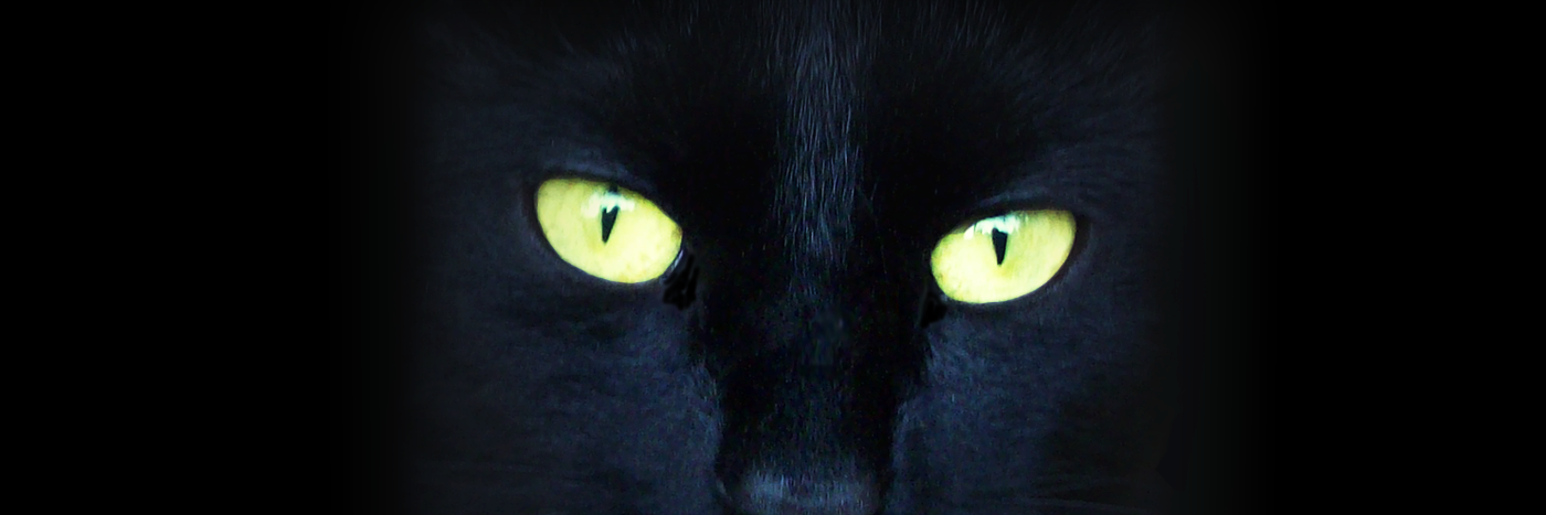 Podcats Productions banner