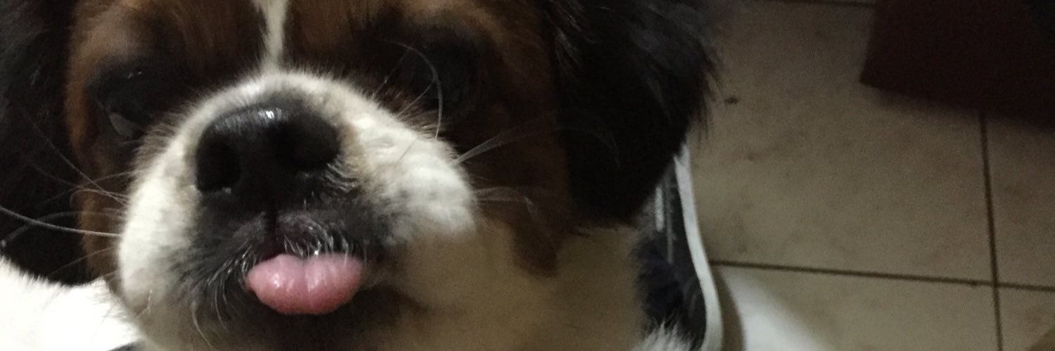 6terHugo's profile banner image