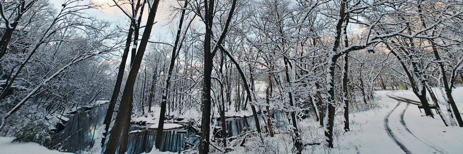 Forest Woltman banner