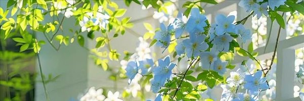 greenishbluee Profile Banner