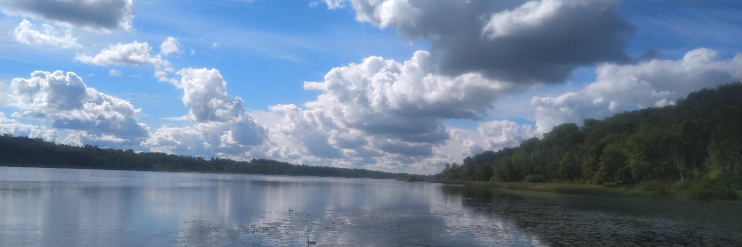 Matteo Salvai banner