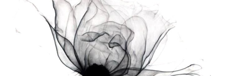 牛奶's banner