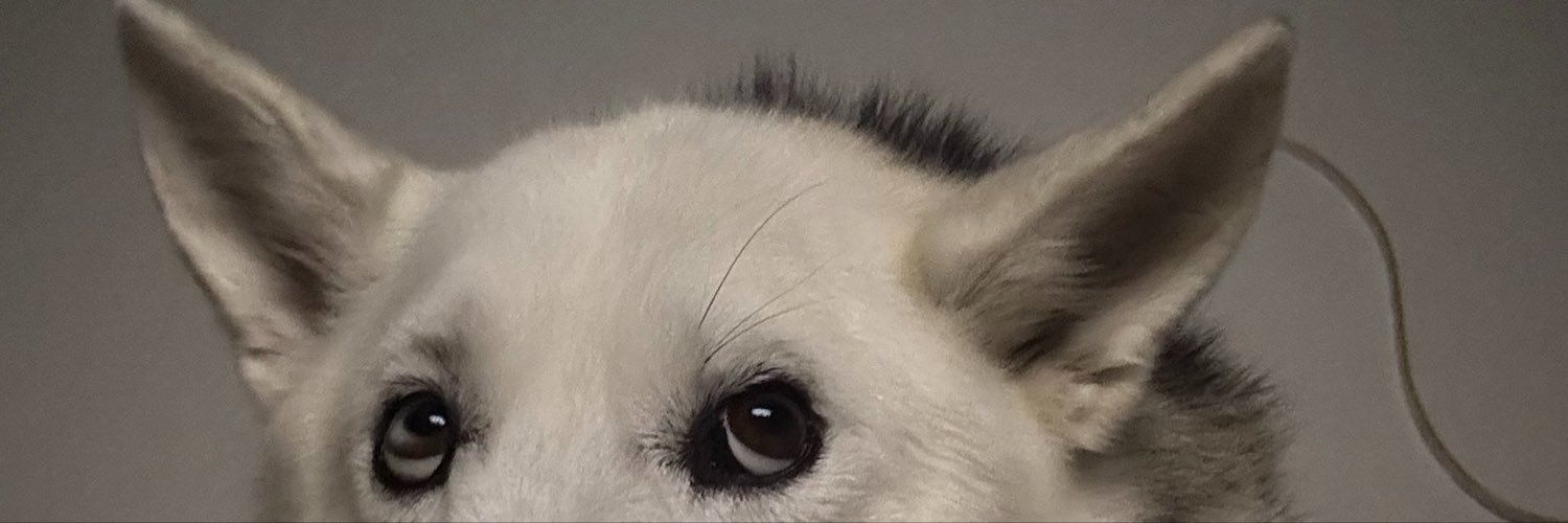 xthaaisx's profile banner image