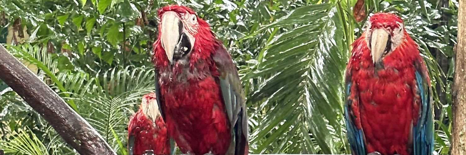 stugnj's profile banner image