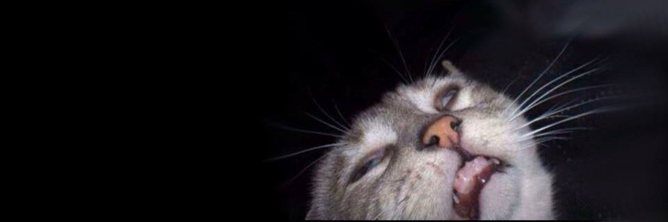 willixmsx's profile banner image