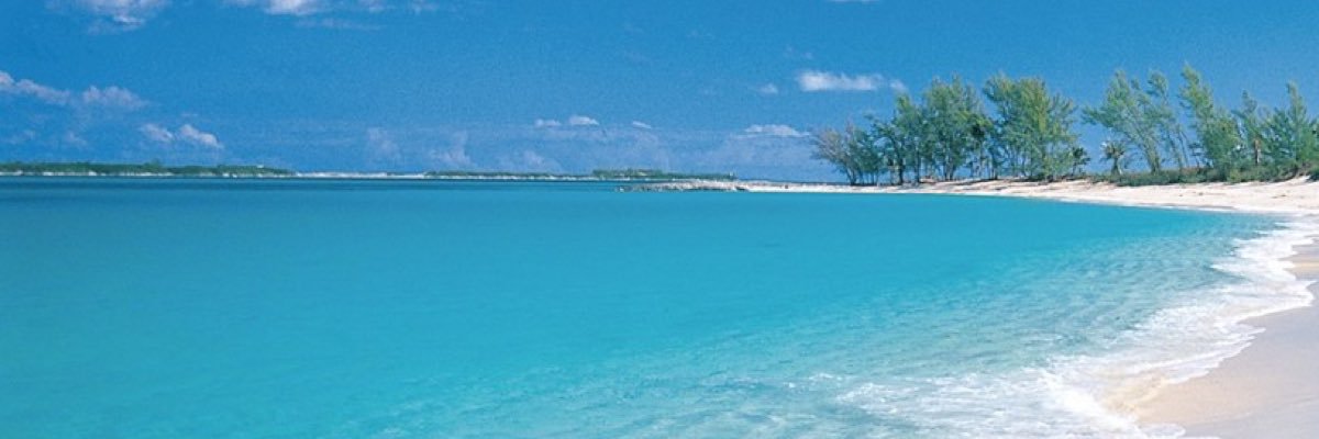 daleparkington's profile banner image