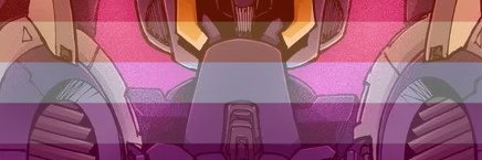 chip's banner
