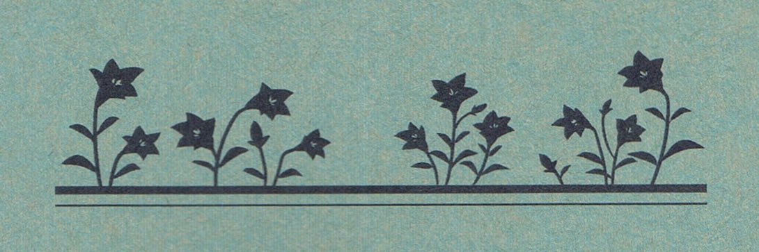 penguinmbg's profile banner image