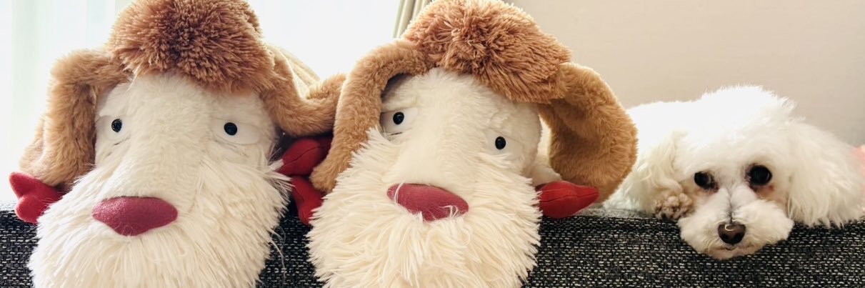 ぶんちゃん🐶 banner