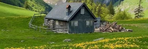 1Memona1 Profile Banner