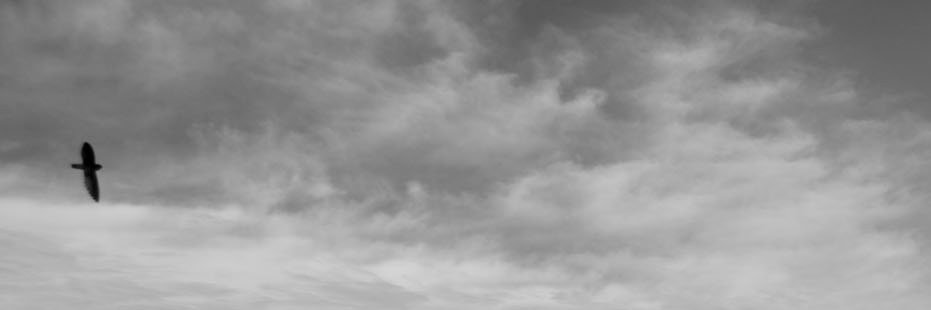 abism_'s profile banner image