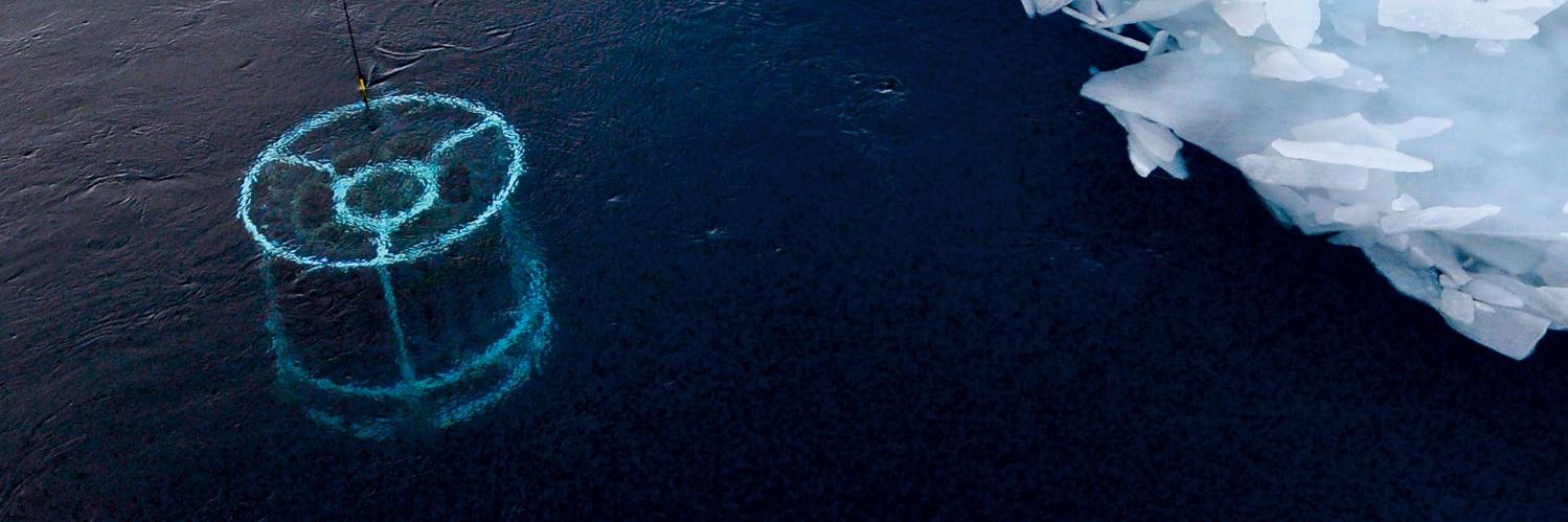 Ocean Carbon & Biogeochemistry (OCB) banner