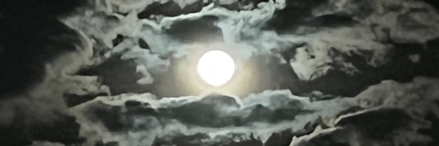 magno_trindade's profile banner image