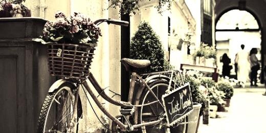 Strudwick Flowers banner