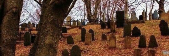 peggythrill 🇨🇦 banner