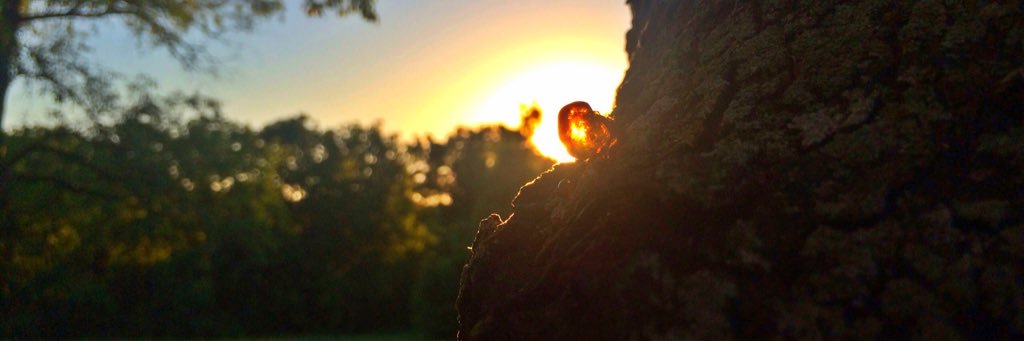 JackorMac's profile banner image
