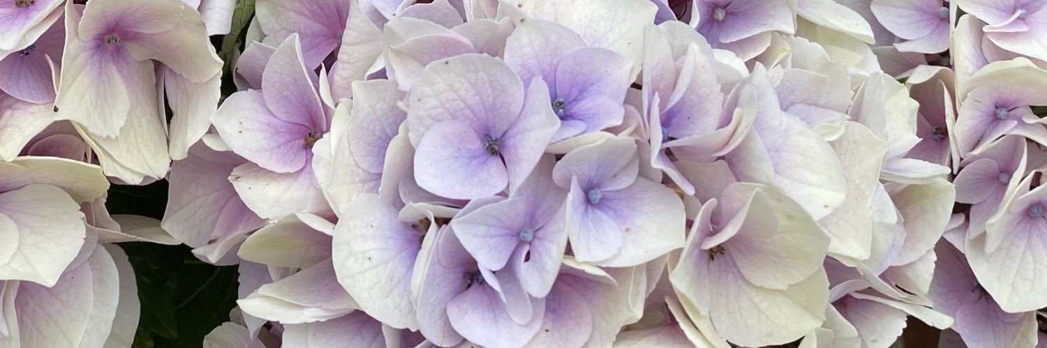 _mhr_2's profile banner image