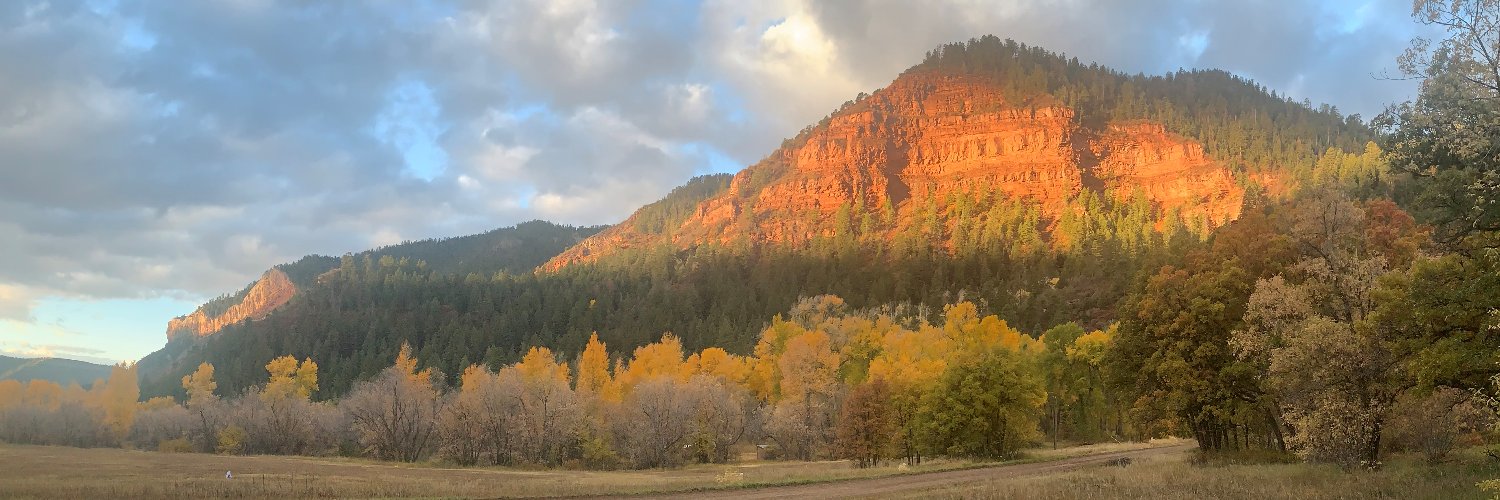 Douglas McCarthy banner