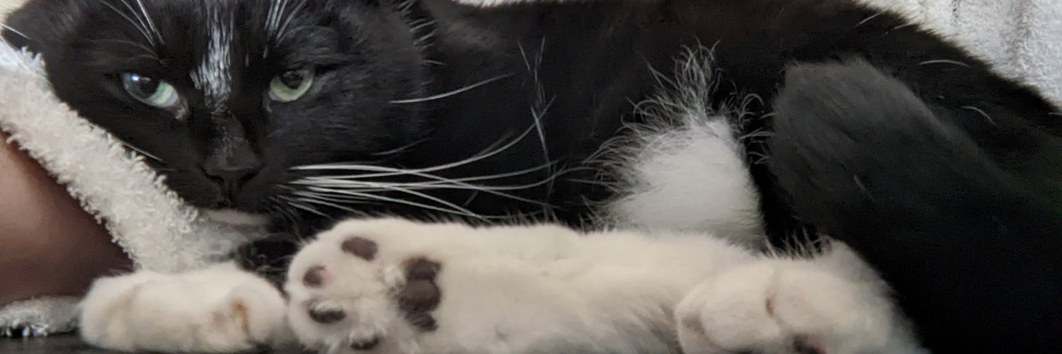 djAvren's profile banner image