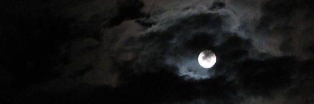 𝐕𝐈𝐕𝐈 - 𝕸𝖊𝖉𝖎𝖊𝖛𝖆𝖑 ᵃᵘᵘᵘ banner