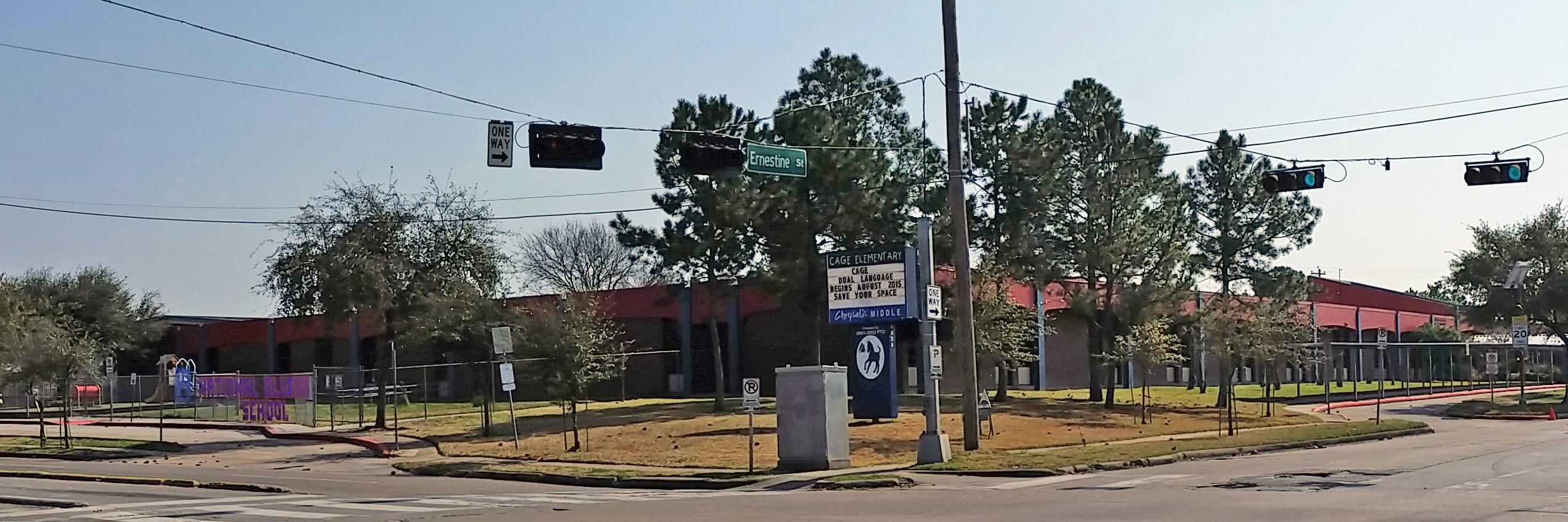 CageES ChrysalisMS banner