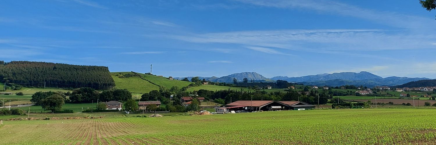David García 🌻 banner