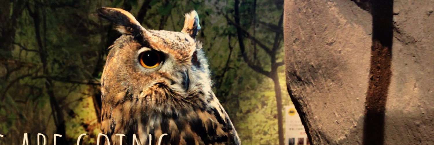 5a50h's profile banner image