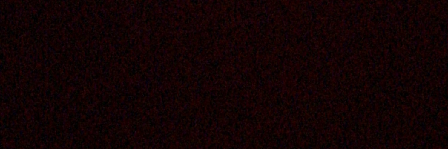 .𖥔 ݁ ˖ִ ࣪ TEAM FOSSILS 🦴's banner