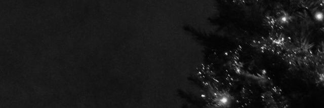 mia_alkan's profile banner image
